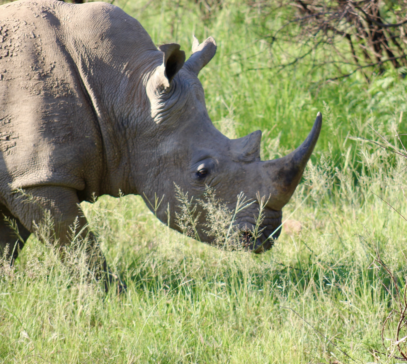 7 Days Kruger National Park Safari Adventure