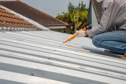 Roof Sealing - 1