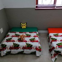 Dog Boarding 