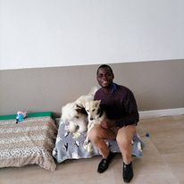 Dog Boarding 