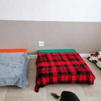 Dog Boarding 2