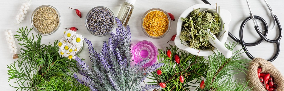 What is Naturopathy 1